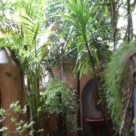 Independent With Garden Heart Of Trastevere John Cabot Lägenhet